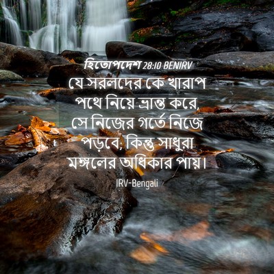 Picture 04 - হিতোপদেশ 28:10 BENIRV - যে সরলদের কে খারাপ - Bible Verse Picture