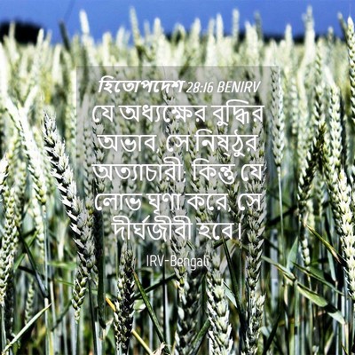 Picture 04 - হিতোপদেশ 28:16 BENIRV - যে অধ্যক্ষের - Bible Verse Picture