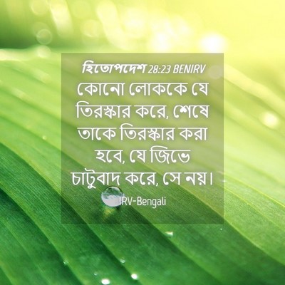 Picture 04 - হিতোপদেশ 28:23 BENIRV - কোনো লোককে যে - Bible Verse Picture