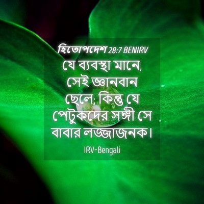 Picture 04 - হিতোপদেশ 28:7 BENIRV - যে ব্যবস্থা মানে, - Bible Verse Picture