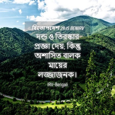 Picture 04 - হিতোপদেশ 29:15 BENIRV - দন্ড ও তিরস্কার - Bible Verse Picture