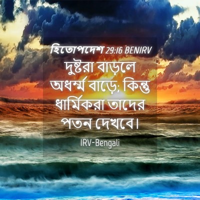 Picture 04 - হিতোপদেশ 29:16 BENIRV - দুষ্টরা বাড়লে - Bible Verse Picture