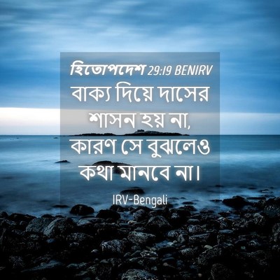 Picture 04 - হিতোপদেশ 29:19 BENIRV - বাক্য দিয়ে দাসের - Bible Verse Picture