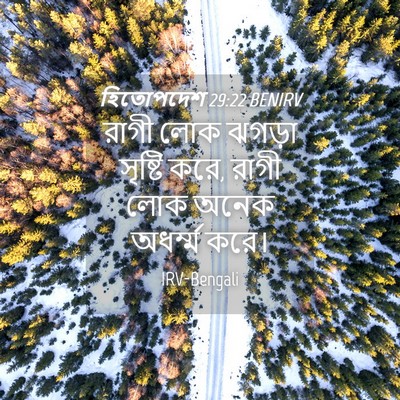 Picture 04 - হিতোপদেশ 29:22 BENIRV - রাগী লোক ঝগড়া - Bible Verse Picture