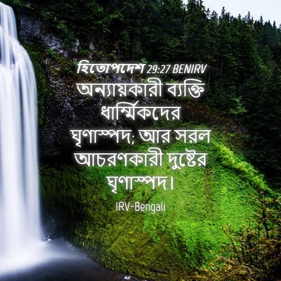 Picture 04 - হিতোপদেশ 29:27 BENIRV - অন্যায়কারী - Bible Verse Picture