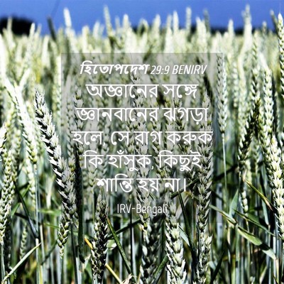 Picture 04 - হিতোপদেশ 29:9 BENIRV - অজ্ঞানের সঙ্গে - Bible Verse Picture