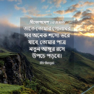 Picture 04 - হিতোপদেশ 3:10 BENIRV - তাতে তোমার গোলাঘর - Bible Verse Picture