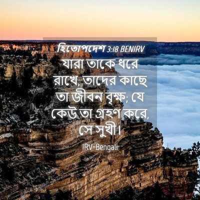 Picture 04 - হিতোপদেশ 3:18 BENIRV - যারা তাকে ধরে রাখে, - Bible Verse Picture