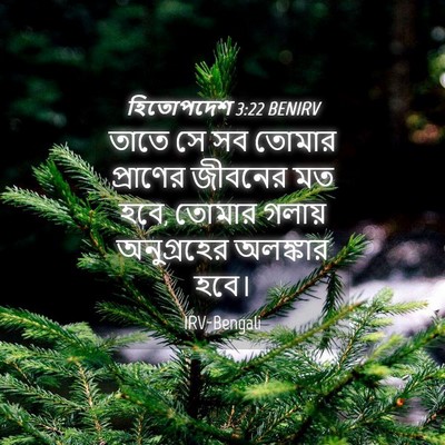 Picture 04 - হিতোপদেশ 3:22 BENIRV - তাতে সে সব তোমার - Bible Verse Picture