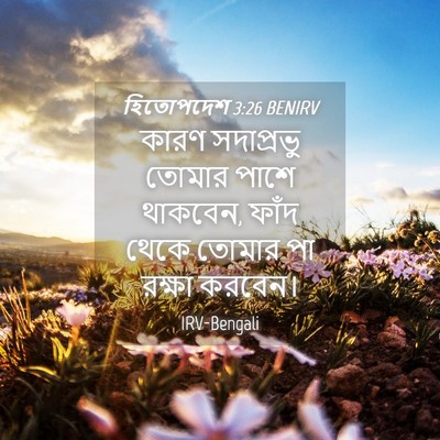 Picture 04 - হিতোপদেশ 3:26 BENIRV - কারণ সদাপ্রভু - Bible Verse Picture