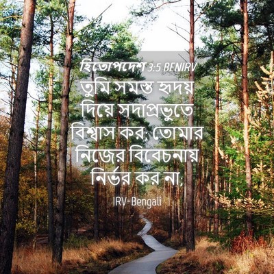 Picture 04 - হিতোপদেশ 3:5 BENIRV - তুমি সমস্ত হৃদয় - Bible Verse Picture
