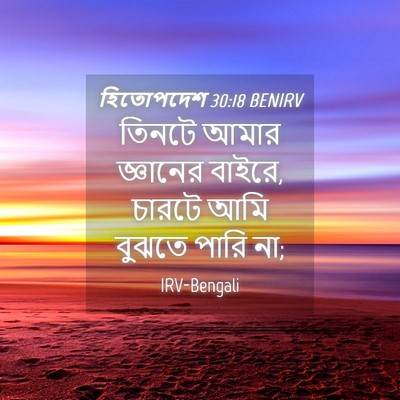 Picture 04 - হিতোপদেশ 30:18 BENIRV - তিনটে আমার - Bible Verse Picture