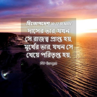 Picture 04 - হিতোপদেশ 30:22 BENIRV - দাসের ভার, যখন সে - Bible Verse Picture