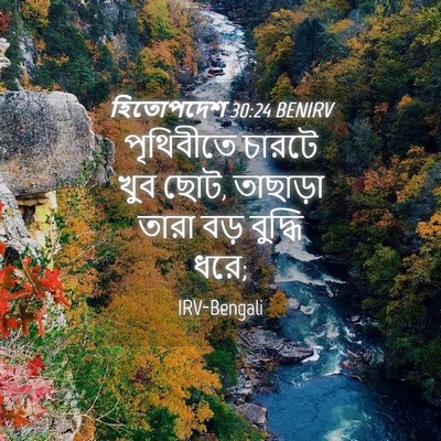 Picture 04 - হিতোপদেশ 30:24 BENIRV - পৃথিবীতে চারটে - Bible Verse Picture