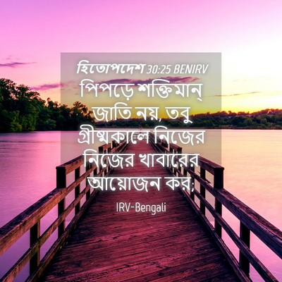 Picture 04 - হিতোপদেশ 30:25 BENIRV - পিপড়ে শক্তিমান্ - Bible Verse Picture