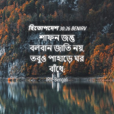 Picture 04 - হিতোপদেশ 30:26 BENIRV - শাফন জন্তু বলবান - Bible Verse Picture
