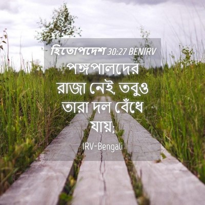 Picture 04 - হিতোপদেশ 30:27 BENIRV - পঙ্গপালদের রাজা - Bible Verse Picture