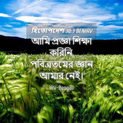 Picture 04 - হিতোপদেশ 30:3 BENIRV - আমি প্রজ্ঞা - Bible Verse Picture