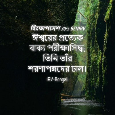 Picture 04 - হিতোপদেশ 30:5 BENIRV - ঈশ্বরের প্রত্যেক - Bible Verse Picture