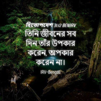 Picture 04 - হিতোপদেশ 31:12 BENIRV - তিনি জীবনের সব দিন - Bible Verse Picture