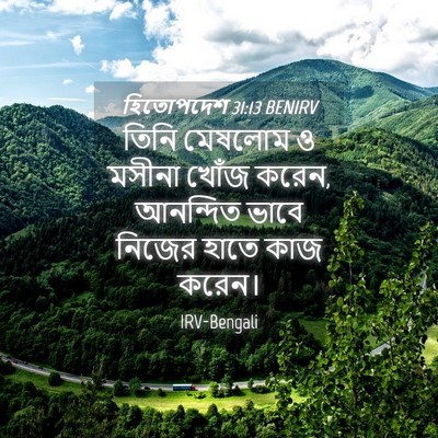 Picture 04 - হিতোপদেশ 31:13 BENIRV - তিনি মেষলোম ও - Bible Verse Picture