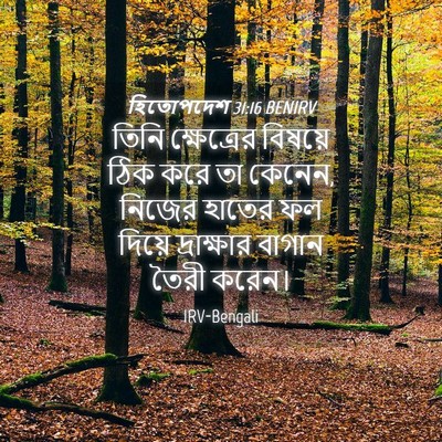 Picture 04 - হিতোপদেশ 31:16 BENIRV - তিনি ক্ষেত্রের - Bible Verse Picture