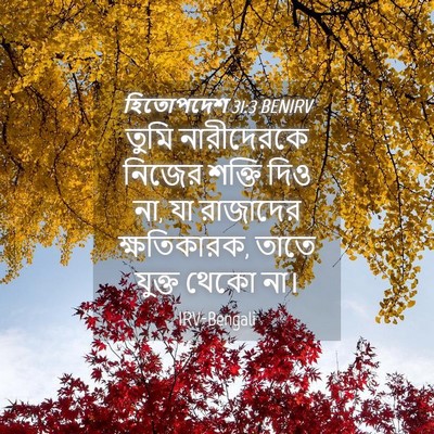 Picture 04 - হিতোপদেশ 31:3 BENIRV - তুমি নারীদেরকে - Bible Verse Picture
