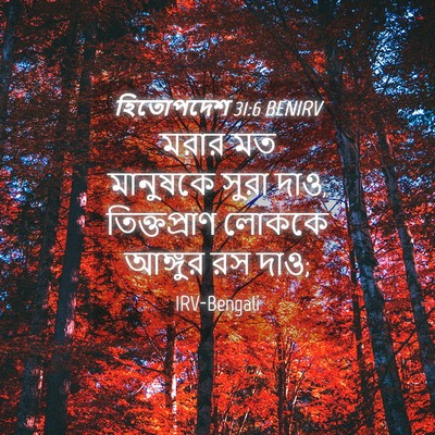 Picture 04 - হিতোপদেশ 31:6 BENIRV - মরার মত মানুষকে - Bible Verse Picture