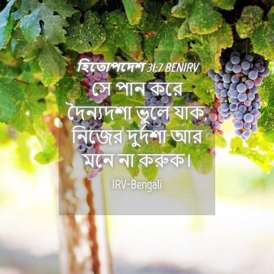 Picture 04 - হিতোপদেশ 31:7 BENIRV - সে পান করে - Bible Verse Picture