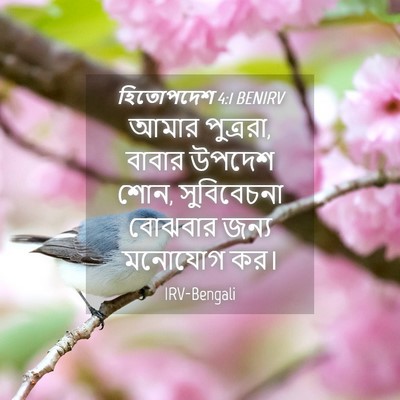Picture 04 - হিতোপদেশ 4:1 BENIRV - আমার পুত্ররা, - Bible Verse Picture