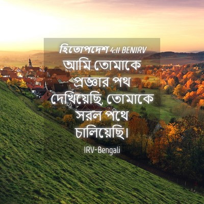 Picture 04 - হিতোপদেশ 4:11 BENIRV - আমি তোমাকে - Bible Verse Picture