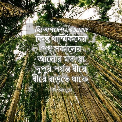 Picture 04 - হিতোপদেশ 4:18 BENIRV - কিন্তু - Bible Verse Picture