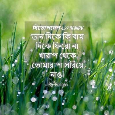 Picture 04 - হিতোপদেশ 4:27 BENIRV - ডান দিকে কি বাম - Bible Verse Picture