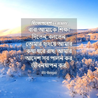 Picture 04 - হিতোপদেশ 4:4 BENIRV - বাবা আমাকে শিক্ষা - Bible Verse Picture