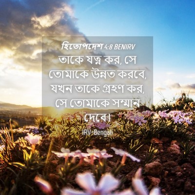 Picture 04 - হিতোপদেশ 4:8 BENIRV - তাকে যত্ন কর, সে - Bible Verse Picture