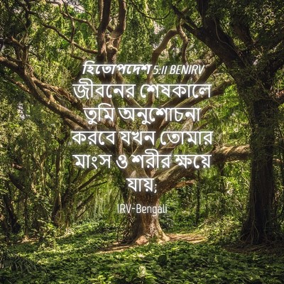 Picture 04 - হিতোপদেশ 5:11 BENIRV - জীবনের শেষকালে - Bible Verse Picture