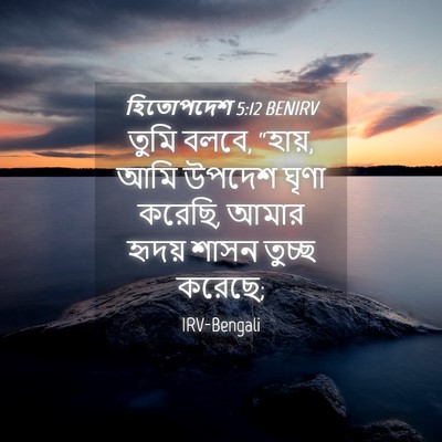 Picture 04 - হিতোপদেশ 5:12 BENIRV - তুমি বলবে, “হায়, - Bible Verse Picture