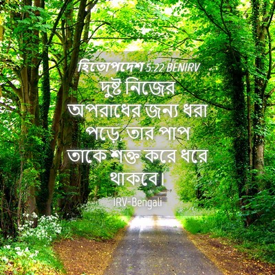 Picture 04 - হিতোপদেশ 5:22 BENIRV - দুষ্ট নিজের - Bible Verse Picture