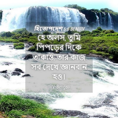Picture 04 - হিতোপদেশ 6:6 BENIRV - হে অলস, তুমি - Bible Verse Picture