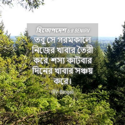 Picture 04 - হিতোপদেশ 6:8 BENIRV - তবু সে গরমকালে - Bible Verse Picture