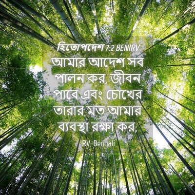 Picture 04 - হিতোপদেশ 7:2 BENIRV - আমার আদেশ সব পালন - Bible Verse Picture