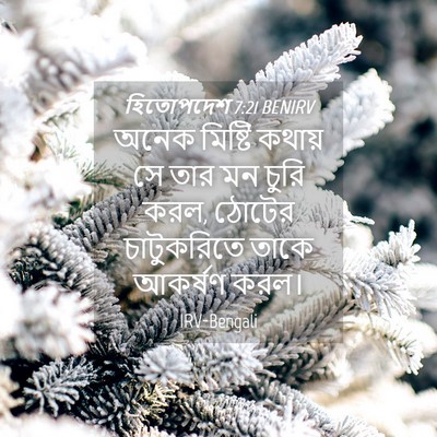Picture 04 - হিতোপদেশ 7:21 BENIRV - অনেক মিষ্টি কথায় - Bible Verse Picture