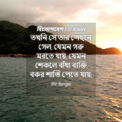 Picture 04 - হিতোপদেশ 7:22 BENIRV - তখনি সে তার পেছনে - Bible Verse Picture