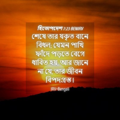 Picture 04 - হিতোপদেশ 7:23 BENIRV - শেষে তার যকৃত বানে - Bible Verse Picture