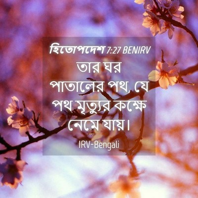 Picture 04 - হিতোপদেশ 7:27 BENIRV - তার ঘর পাতালের পথ, - Bible Verse Picture