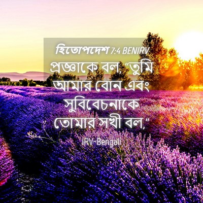 Picture 04 - হিতোপদেশ 7:4 BENIRV - প্রজ্ঞাকে বল, - Bible Verse Picture