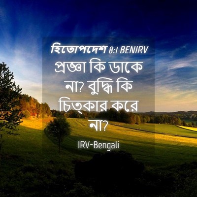 Picture 04 - হিতোপদেশ 8:1 BENIRV - প্রজ্ঞা কি ডাকে না? - Bible Verse Picture