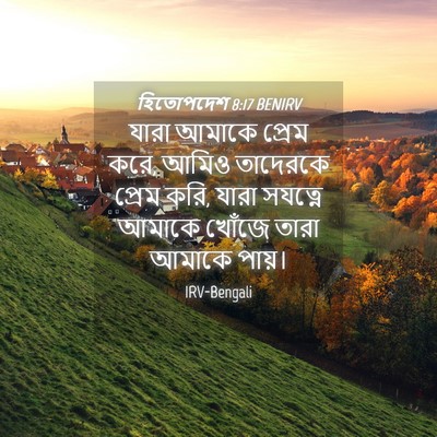 Picture 04 - হিতোপদেশ 8:17 BENIRV - যারা আমাকে প্রেম - Bible Verse Picture