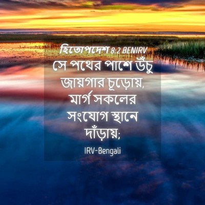 Picture 04 - হিতোপদেশ 8:2 BENIRV - সে পথের পাশে উঁচু - Bible Verse Picture