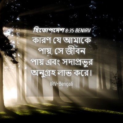 Picture 04 - হিতোপদেশ 8:35 BENIRV - কারণ যে আমাকে পায়, - Bible Verse Picture